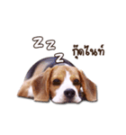 Mooping-Moopun（個別スタンプ：11）