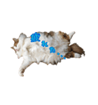 毛玉様と愉快な三毛猫達（個別スタンプ：4）