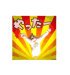 毛玉様と愉快な三毛猫達（個別スタンプ：21）
