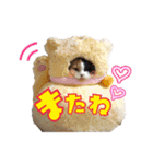 毛玉様と愉快な三毛猫達（個別スタンプ：40）