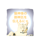 猫神様の御神託（個別スタンプ：1）