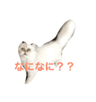 こゆちゃん（個別スタンプ：5）