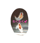 クリオネスタイル（個別スタンプ：4）