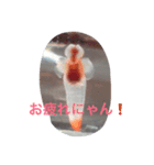 クリオネスタイル（個別スタンプ：5）