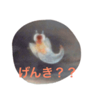 クリオネスタイル（個別スタンプ：7）