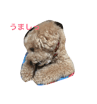 パップスリー（個別スタンプ：2）