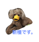 パップスリー（個別スタンプ：4）