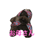 パップスリー（個別スタンプ：5）