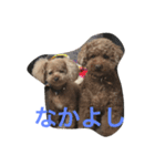 パップスリー（個別スタンプ：8）