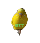 ぴーちゃんとポピー（個別スタンプ：1）