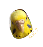 ぴーちゃんとポピー（個別スタンプ：2）