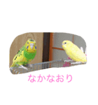 ぴーちゃんとポピー（個別スタンプ：4）
