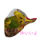 ぴーちゃんとポピー（個別スタンプ：6）