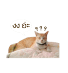 Dek Moo Part1（個別スタンプ：6）