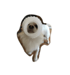 pustule（個別スタンプ：3）