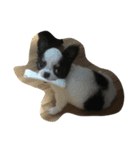 pustule（個別スタンプ：5）