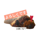 まいにちほのカイルのスタンプ vol.3（個別スタンプ：5）