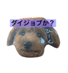 まいにちほのカイルのスタンプ vol.3（個別スタンプ：10）