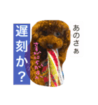 まいにちほのカイルのスタンプ vol.3（個別スタンプ：31）