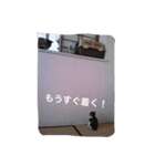 ともたん家のねこ（個別スタンプ：6）