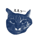 ともたん家のねこ（個別スタンプ：19）