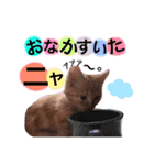 にゃんぷ〜（個別スタンプ：4）