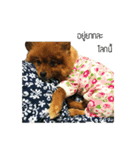 Lek n jew（個別スタンプ：6）