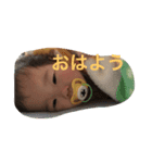 いつきとあきら（個別スタンプ：3）