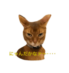 にゃんだかなァ〜（個別スタンプ：8）