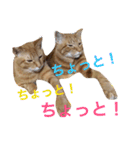 じるくるゆず（個別スタンプ：7）