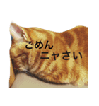 じるくるゆず（個別スタンプ：10）