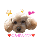 MAKU MEMORIAL 2（個別スタンプ：3）