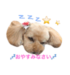 MAKU MEMORIAL 2（個別スタンプ：4）