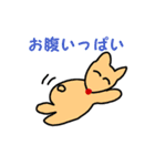 癒しのきつねちゃん（個別スタンプ：37）