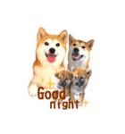 柴犬母娘ちぃこ＆ちなつ（個別スタンプ：2）