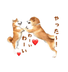 柴犬母娘ちぃこ＆ちなつ（個別スタンプ：25）