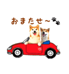 柴犬母娘ちぃこ＆ちなつ（個別スタンプ：33）