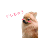 ちーの顔芸スタンプ（個別スタンプ：2）