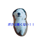 毒舌ロビン（個別スタンプ：5）