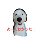 毒舌ロビン（個別スタンプ：6）