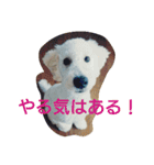 毒舌ロビン（個別スタンプ：9）