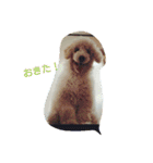 毒舌ロビン（個別スタンプ：20）