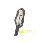 毒舌ロビン（個別スタンプ：21）