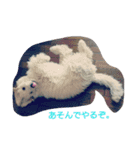 毒舌ロビン（個別スタンプ：24）