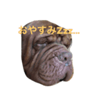 犬がいっぱい（個別スタンプ：2）