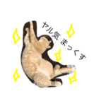 そらり（個別スタンプ：8）