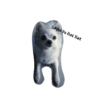 Mercythedoggo（個別スタンプ：2）