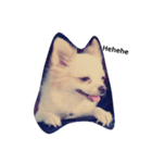 Mercythedoggo（個別スタンプ：5）