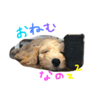 ティムのきもち（個別スタンプ：1）