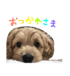 ティムのきもち（個別スタンプ：6）